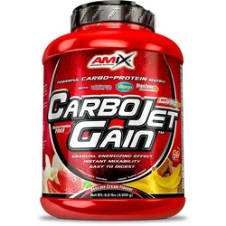 Bevanda Di Polvere Di Carboidrati Carbojet Gain Fragola kg Red