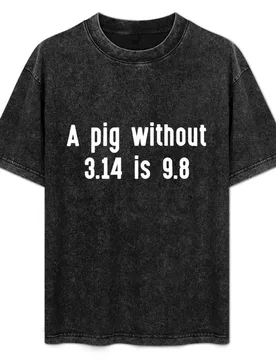 A pig without pi T-Shirt Work Comfort T-Shirt for Men - Aliexpress - FashionsVida