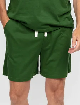Cotton Modal Blend Knitted Pyjama Shorts Green male - Cyberjammies - FashionsVida