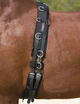 Kieffer Longiergurt schwarz VB - Kieffer - FashionsVida