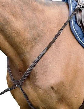 Prestige Vorderzeug D36 EVO schwarz WB - Prestige Italia - FashionsVida