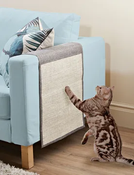 Kratzmatte für Katzen Clarsen - Clarsen - FashionsVida