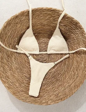 Conjunto de bikini de 2 piezas de traje de baño para mujer con corte alto, tirantes finos y taza triangular en forma de V sin acolchado, en tela text - Shein - FashionsVida