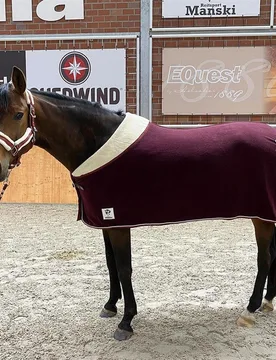 Manski Kombi-Set Eternal Flame, bordeaux-silver 135 Cob - Reitsport Manski - FashionsVida