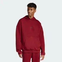 Felpa con cappuccio Future Icons Small Logo S Active Maroon