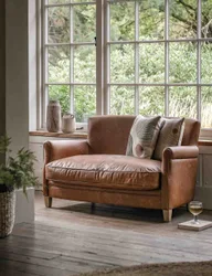 Mr. Paddington 2 Seater Sofa Dark Brown