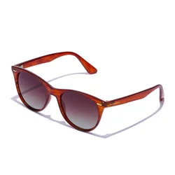 Gafas de sol Harlow - Polarized Brown Horn