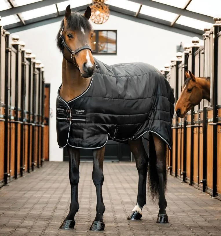 Stalldecke EASY-LAYER Stable 100g, black/black/silver 145 - Horseware - FashionsVida