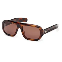 Lunettes De Soleil Or0131 Dark Havana / Brown One Size Homme