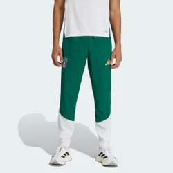 Pantaloni da rappresentanza Tiro Italia 26 M Collegiate Green