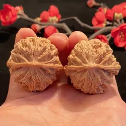 Collectible Walnut Balls, Premium Apple-Shaped Walnuts, Fine Pointed Lion Head Walnuts, Round Walnuts, Collectible Handheld Item