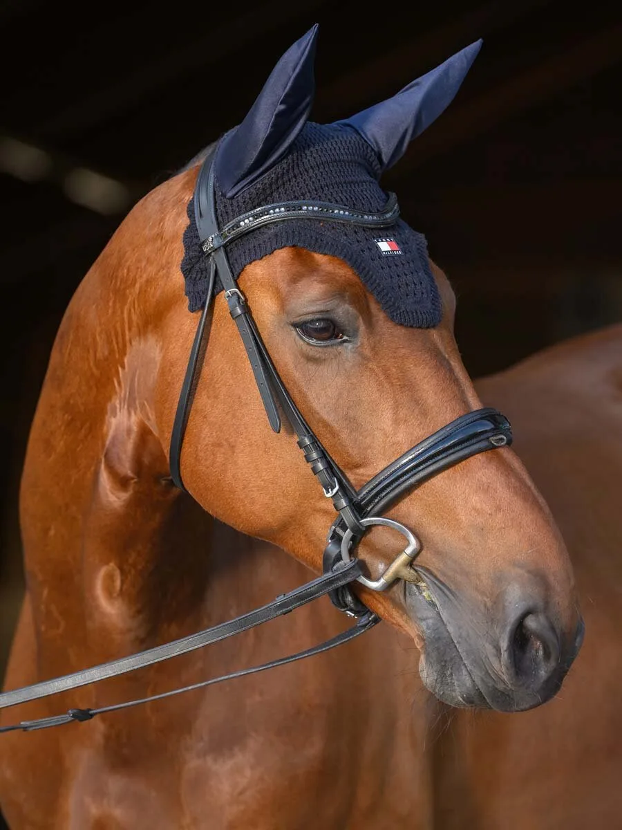 Fliegenhaube LEXINGTON desert sky - Tommy hilfiger - FashionsVida