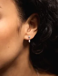 Pack Sterling Silver Plated Mixed Earrings Silver female