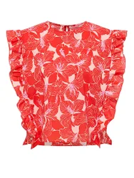Lanius Blusa rosso 34