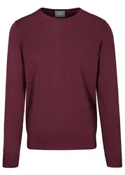 S)-NOS Rdh. Pullover Basic male