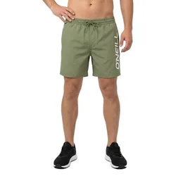Short De Bain Logo 16´´ Avery Fern L