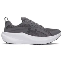 Scarpe Da Running Assert 11 Gray / Black EU 39