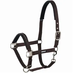 Halfter Pin Buckle, darkbrown P1