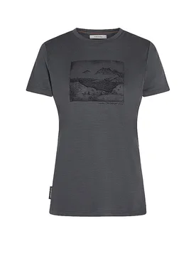 T-shirt de sport Lake View 150 Tech-Lite gris M - Icebreaker - FashionsVida