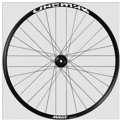 Ruote DEEMAX PARK 29 anteriore 20X110