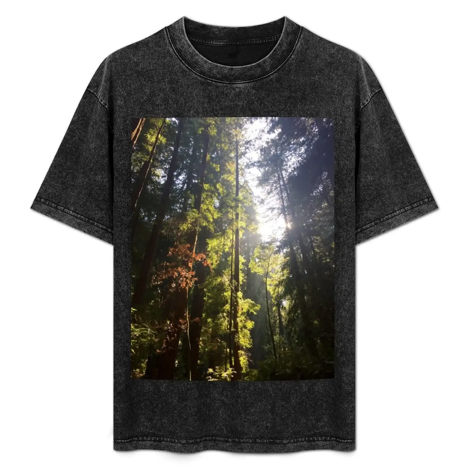 Down in the forest T-Shirt - Aliexpress - FashionsVida