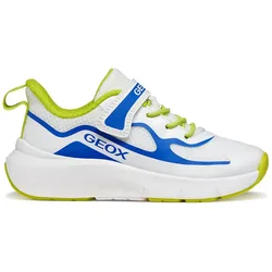 Scarpe Senza Lacci Pro-ran White / Royal EU 33