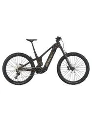 Herren E-Mountainbike Patron ST 910 29 schwarz L M