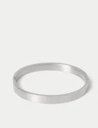 Auto Stainless Bangle Silver male
