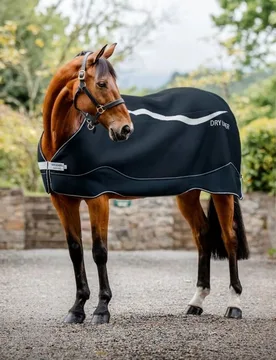 Abschwitzdecke DRY LINER 50g, navy/silver 125 - Horseware - FashionsVida