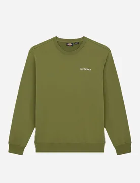 Felpa loretto girocollo uomo verde cipresso - Dickies - FashionsVida