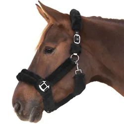 Halfter COZY, schwarz/silber VB