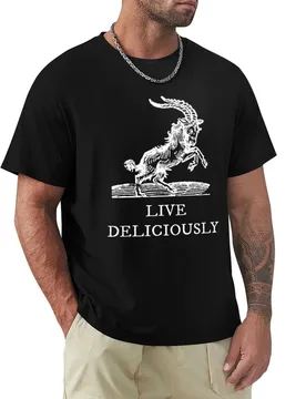 Live Deliciously T-Shirt Plus Size Quick Dry Sports Tee - Aliexpress - FashionsVida