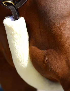 Kentucky Lammfell Vorderzeugschoner, natural - Kentucky Horsewear - FashionsVida