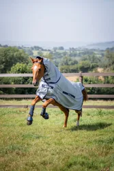 Pony-Fliegendecke Buzz-Off Full Neck, blue 100