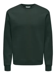 ONSCERES CREW NECK NOOS male
