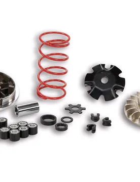 Variatore Multivar Per Yamaha-Minarelli Mbk Mach G 50 2t Lc - Malossi - FashionsVida
