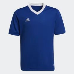 Maglia Entrada 22 13-14A Royal Blue
