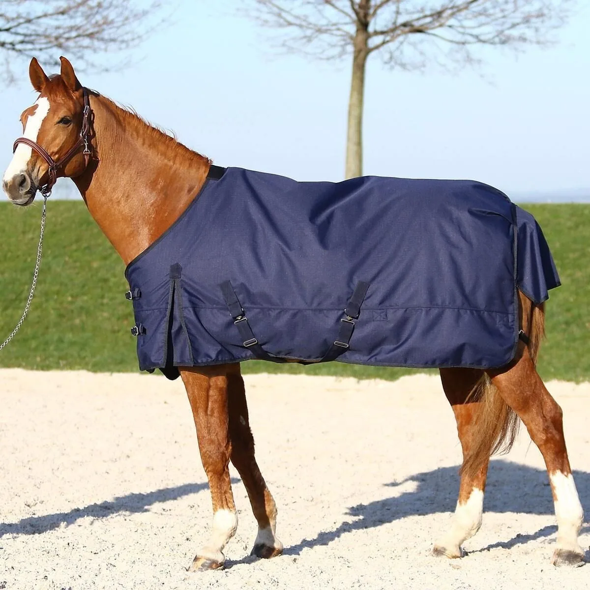 Outdoor Decke Kodiak Heavy, navy 155 - Euroriding - FashionsVida