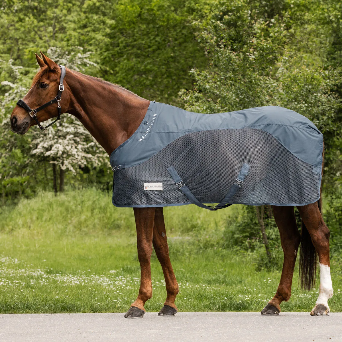 Regen-Fliegendecke COMFORT kreideblau 125 - Waldhausen - FashionsVida
