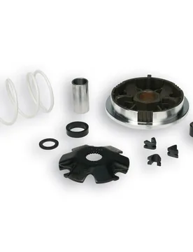 Variatore Multivar Per Scooter Aprilia Sr Replica 50 2t Lc 2000+ (Aprilia) - Malossi - FashionsVida