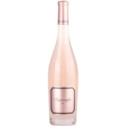 Vino rosado Pinot Noir 2021 Valencia