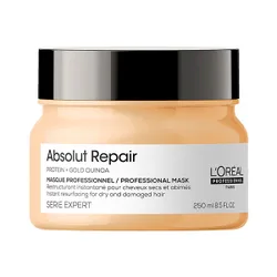 Absolut Repair Mask