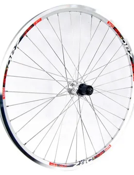 Ruota Posteriore Da Mtb Zac Inox 26´´ 7s Tubeless Silver - Gurpil - FashionsVida