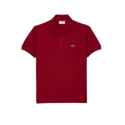 Lacoste T-shirt e Polo Bordeaux