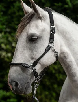 HKM Halfter CARLOTTA schwarz Pony - HKM - FashionsVida