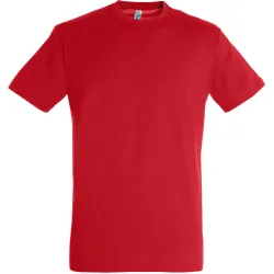 Mens Regent Short Sleeve T-Shirt (Red) Cotton - Size 4xl