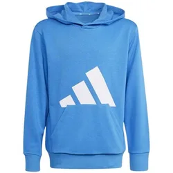Kapuzensweaters J Bl Ft Hd 280 13 / 14 Jahre