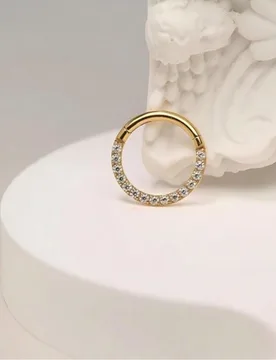 Pieza Aro de nariz de acero inoxidable de 16G con rhinestones, aro de septum, joyería de nariz, clip de nariz, pendiente de nariz, aros de cartílago - Shein - FashionsVida