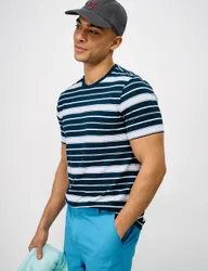 Pure Cotton Striped Crew Neck T-Shirt Blue Mix male