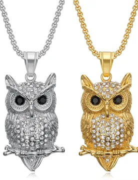 Punk Iced Out Tennis CZ Owl Pendant Gold Silver Color Stainless Steel Chain Zirconia Animal Necklace for Women Men Lucky Jewelry - Aliexpress - FashionsVida